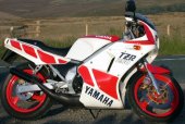 1987 Yamaha TZR 250 photo
